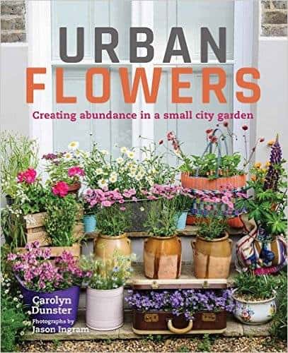 urban flowers