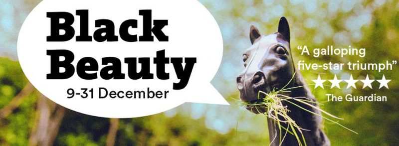 Review: Black Beauty at Lakeside Arts, Nottingham