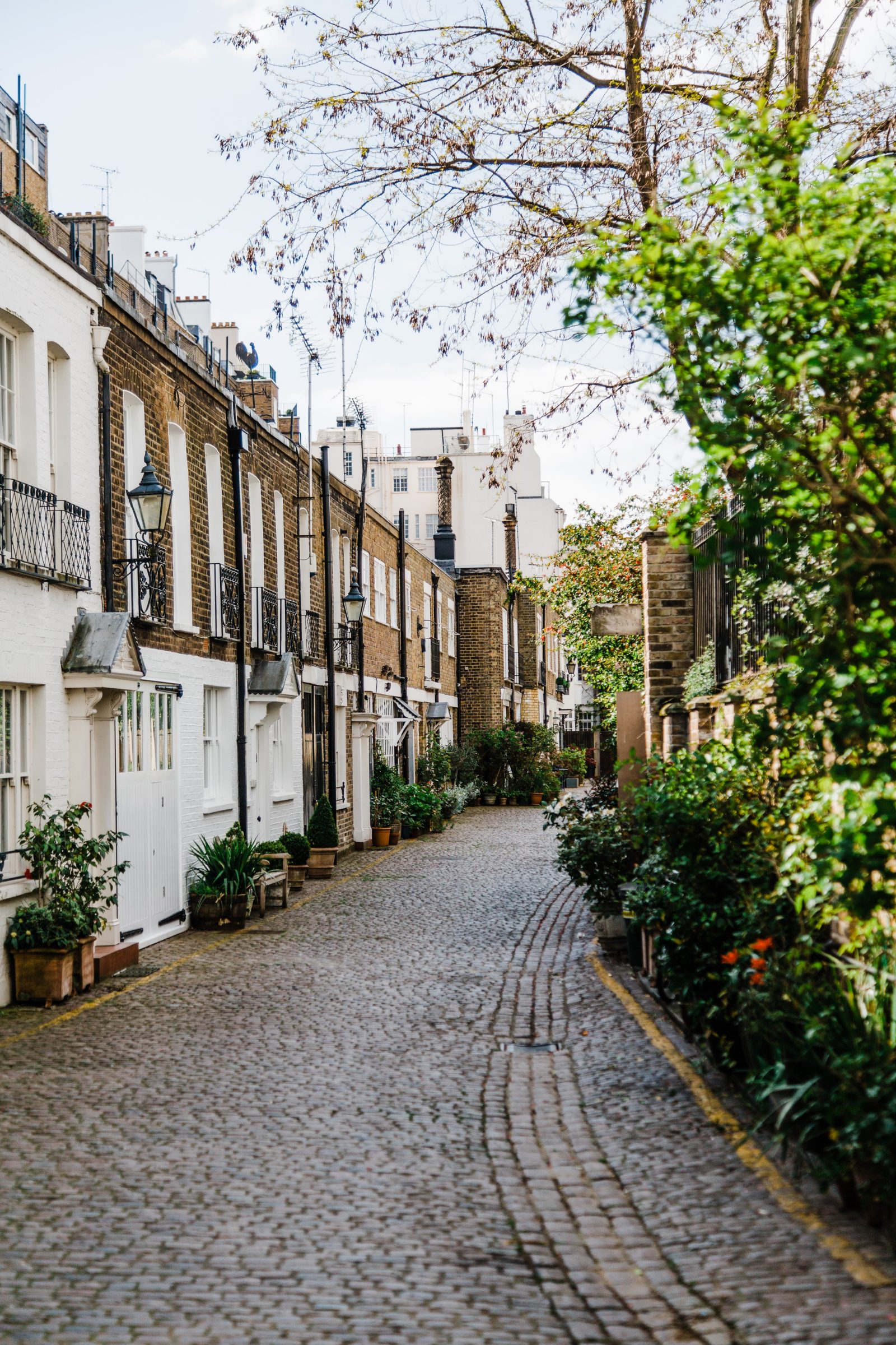 How to Choose the Perfect Rented Flat in London