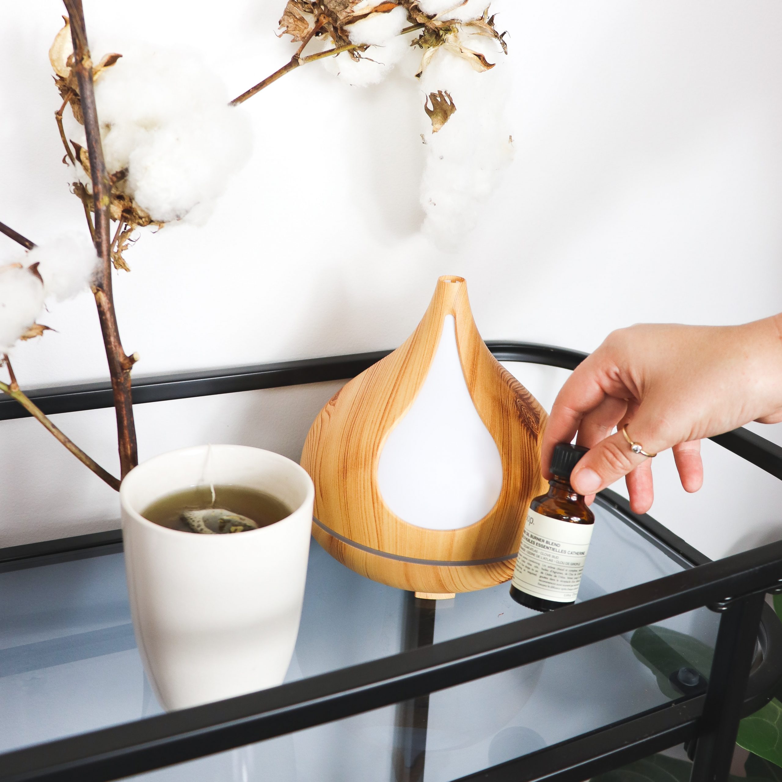 Ways Aromatherapy Can Shape the Mood of Your Home