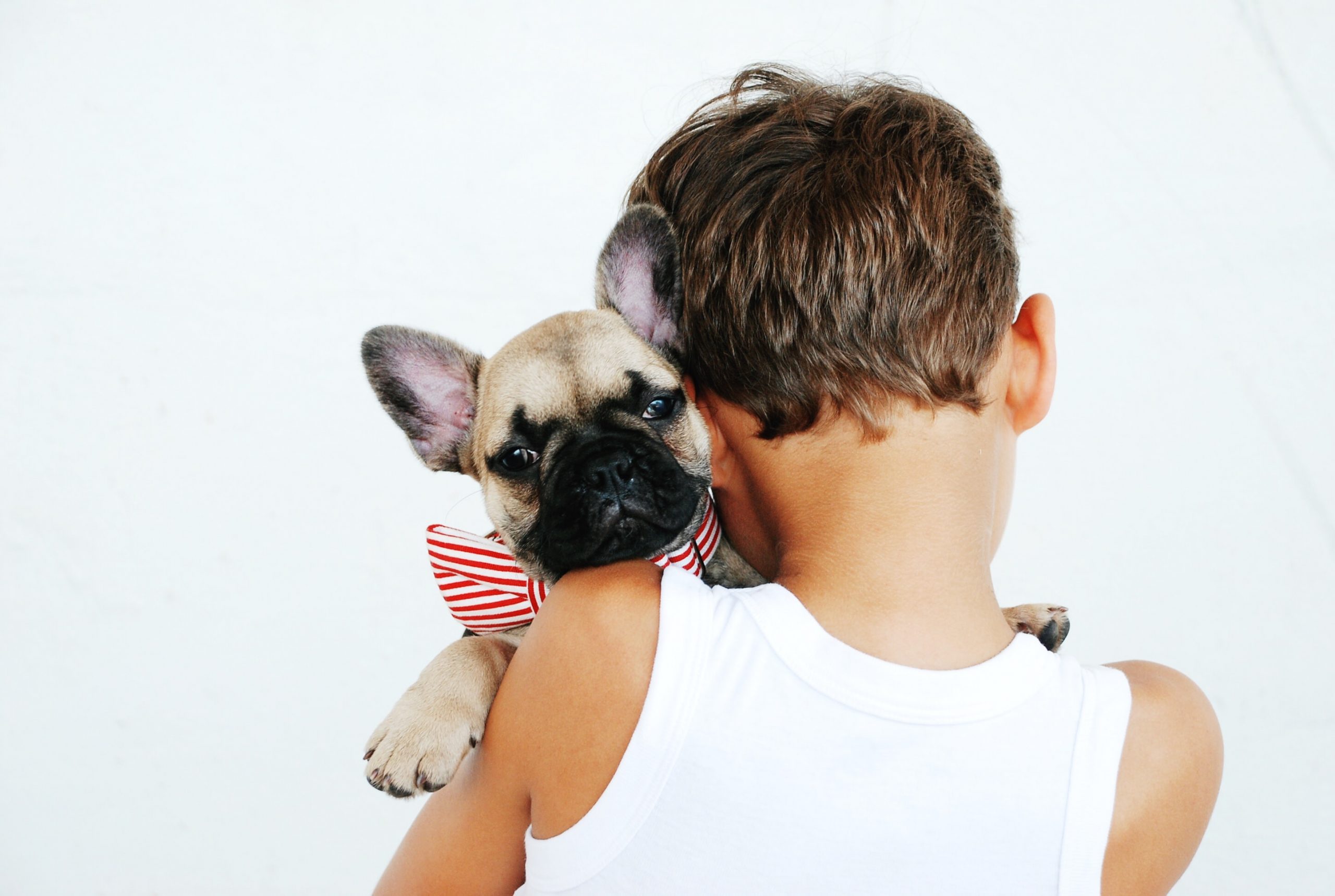 How to Help Kids Establish a Perfect Relationship With Your Dog