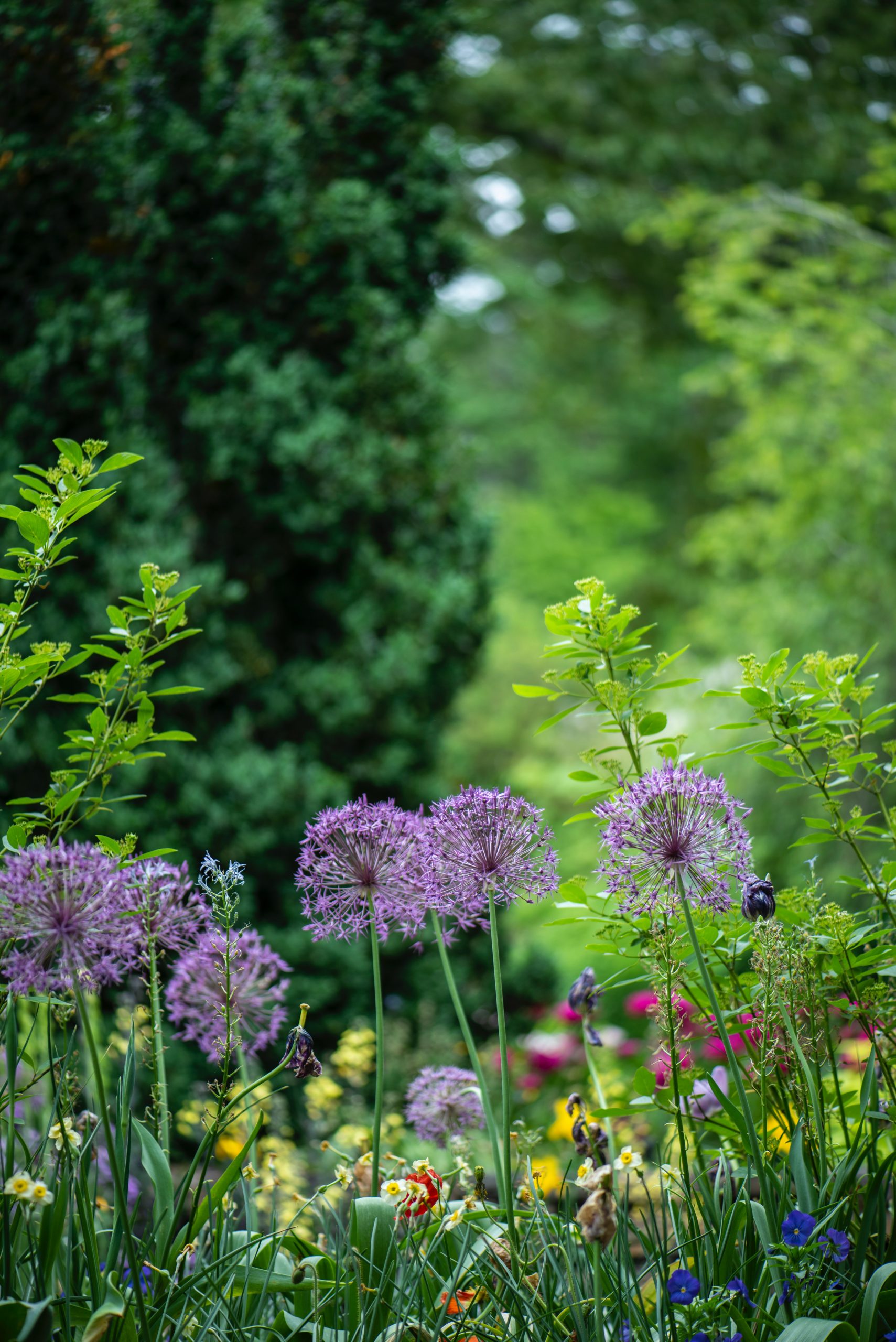 Proven ways you can eliminate weeds in your garden