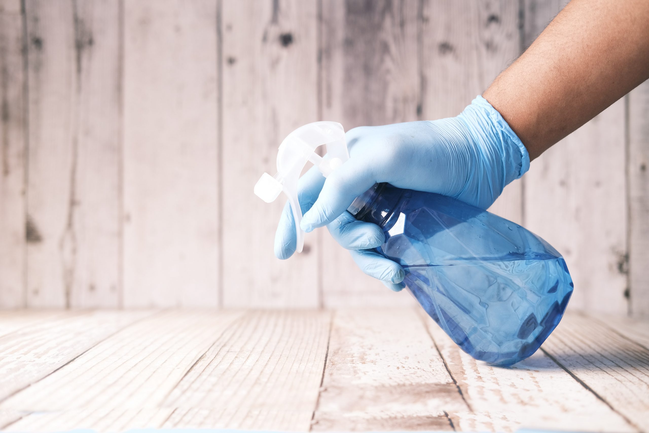 Professional house cleaning companies