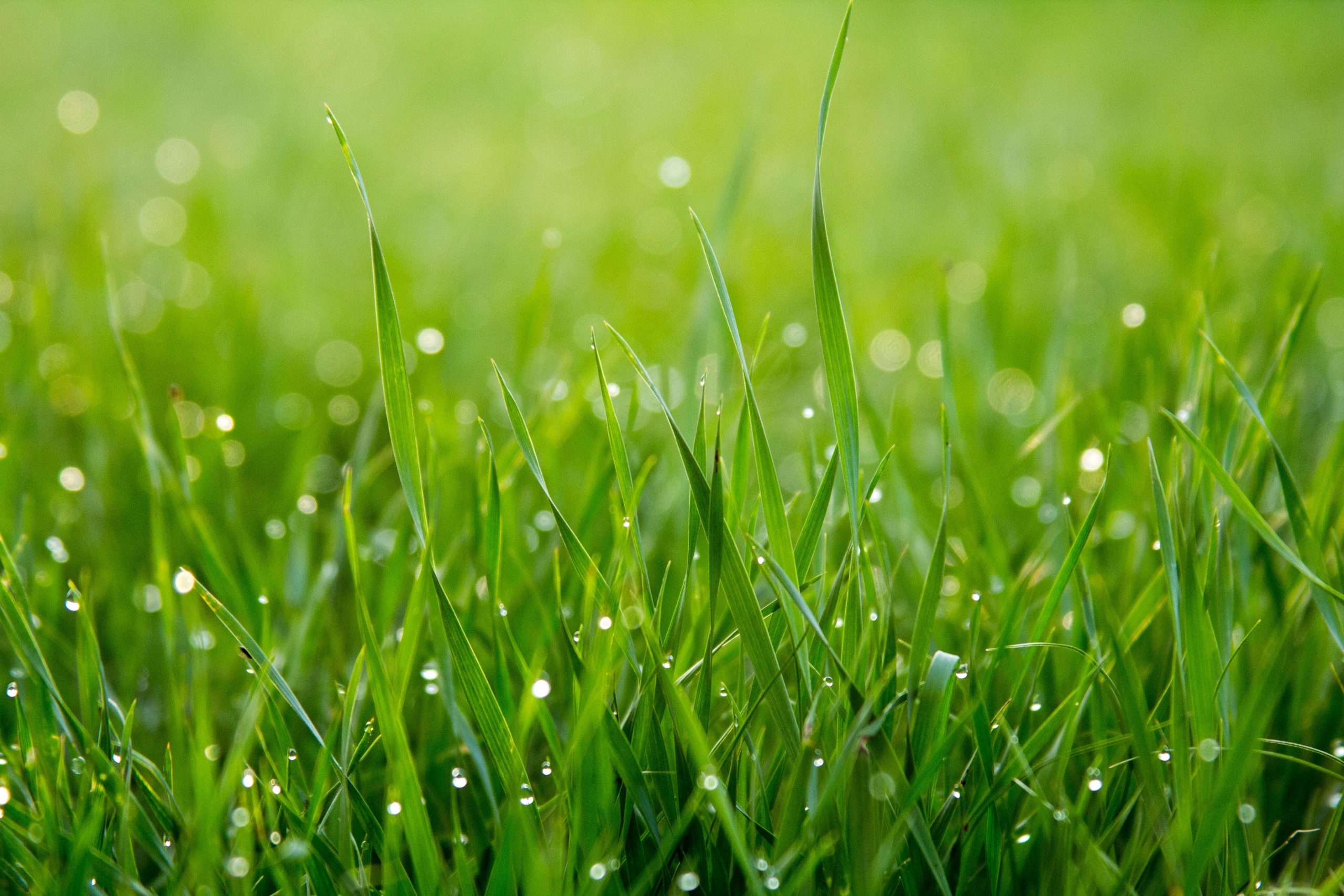 how to install artificial grass in your garden