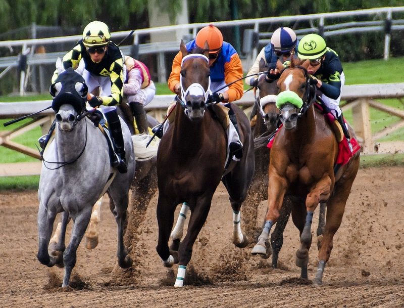 A Look at Some of Today’s Best Horse Racing-Themed Online Slots