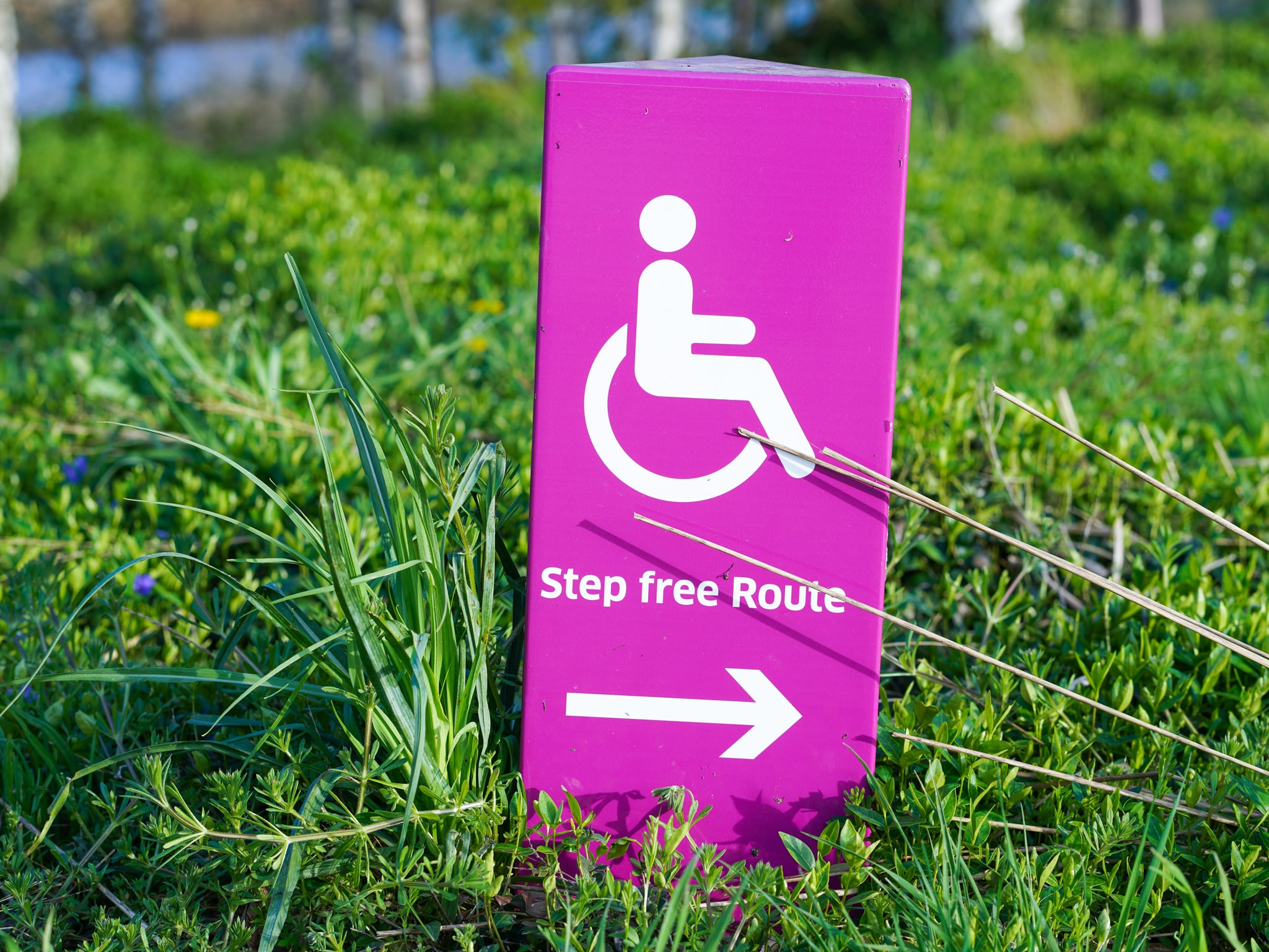 How To Make Life Easier For People With Disabilities