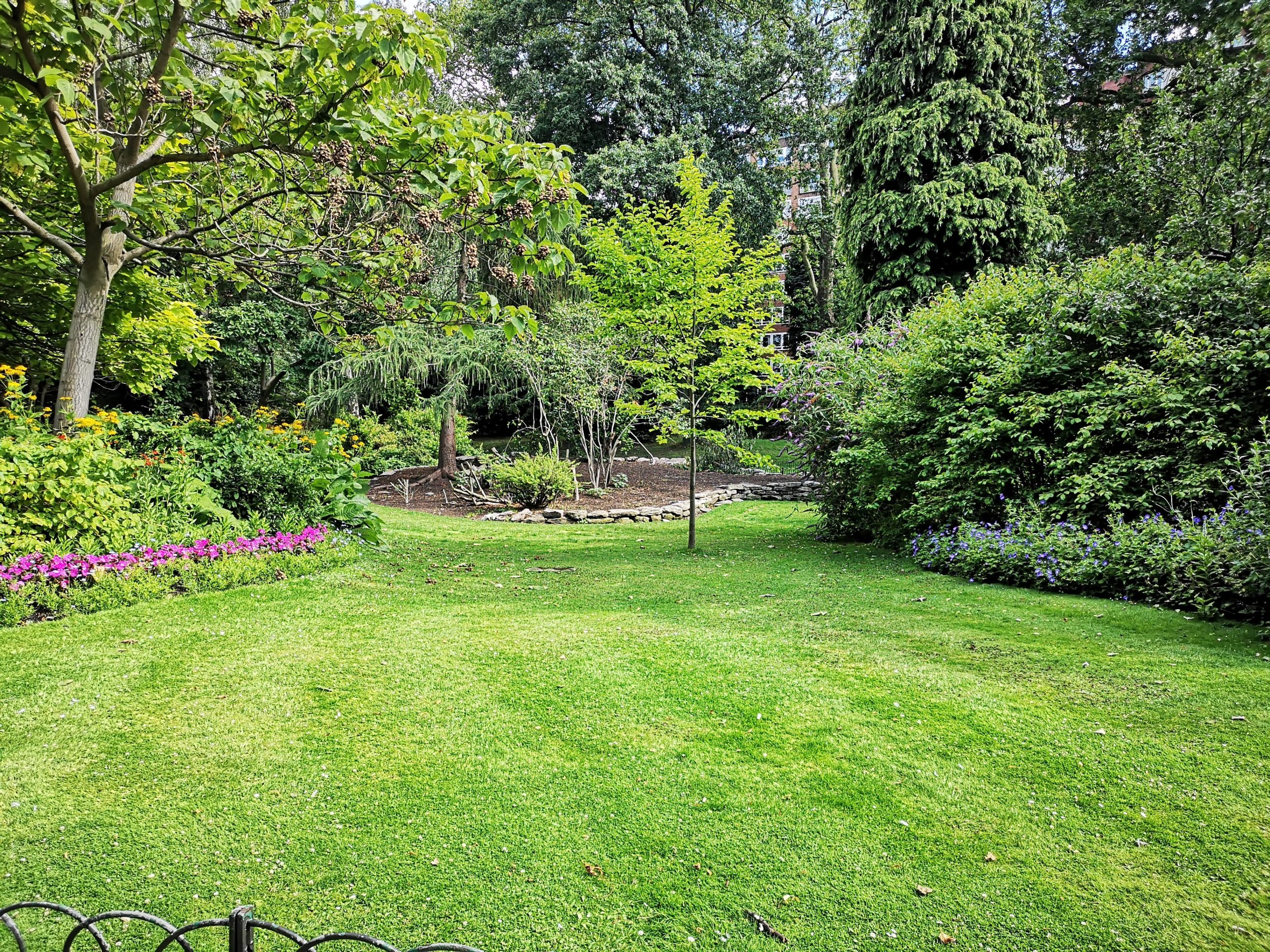 The Essential Guide to Sod Care and Maintenance