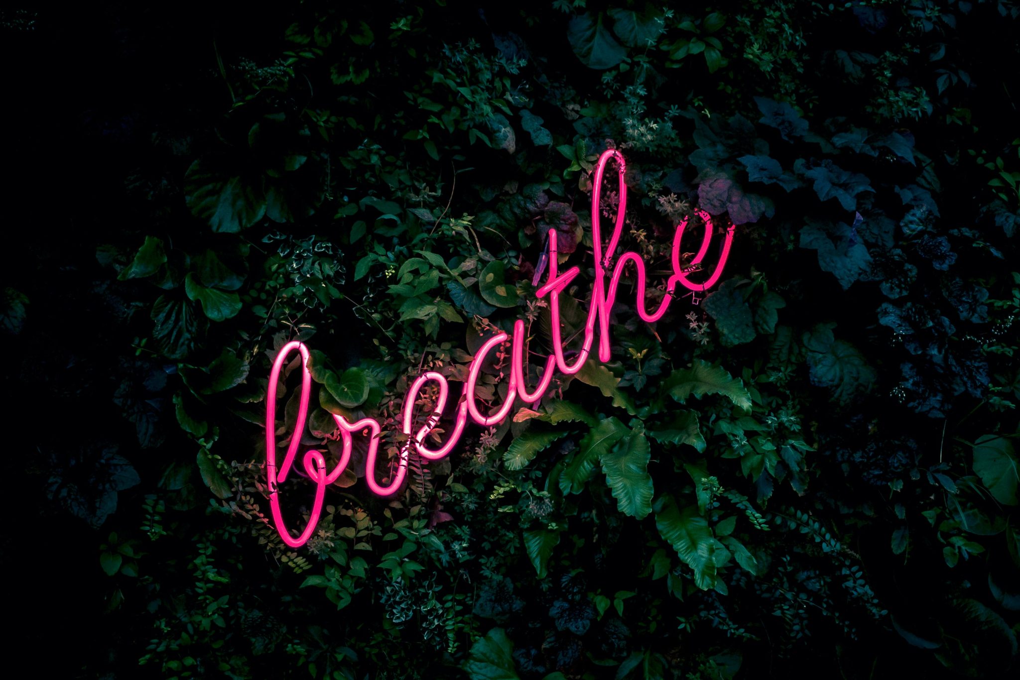 175 Best Amazing One Word Quotes &amp; Single 1 Word Captions
