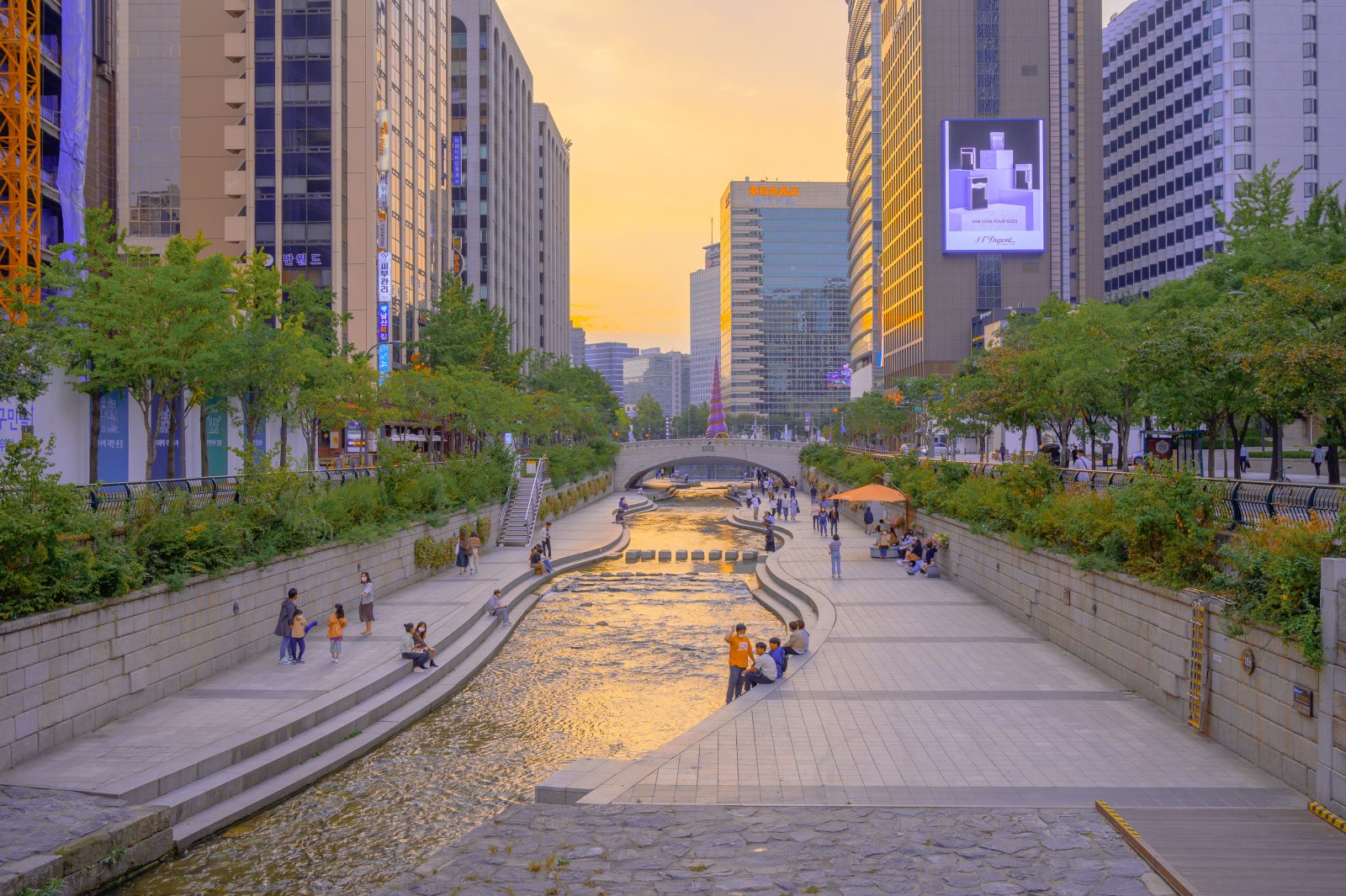 Why South Korea Should Be Your Next Destination