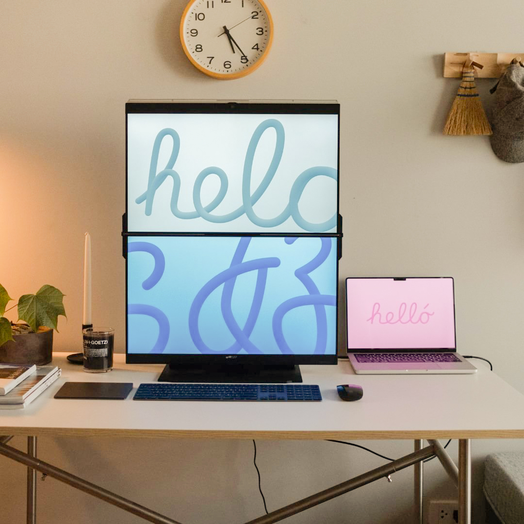 Dual Screen Monitors