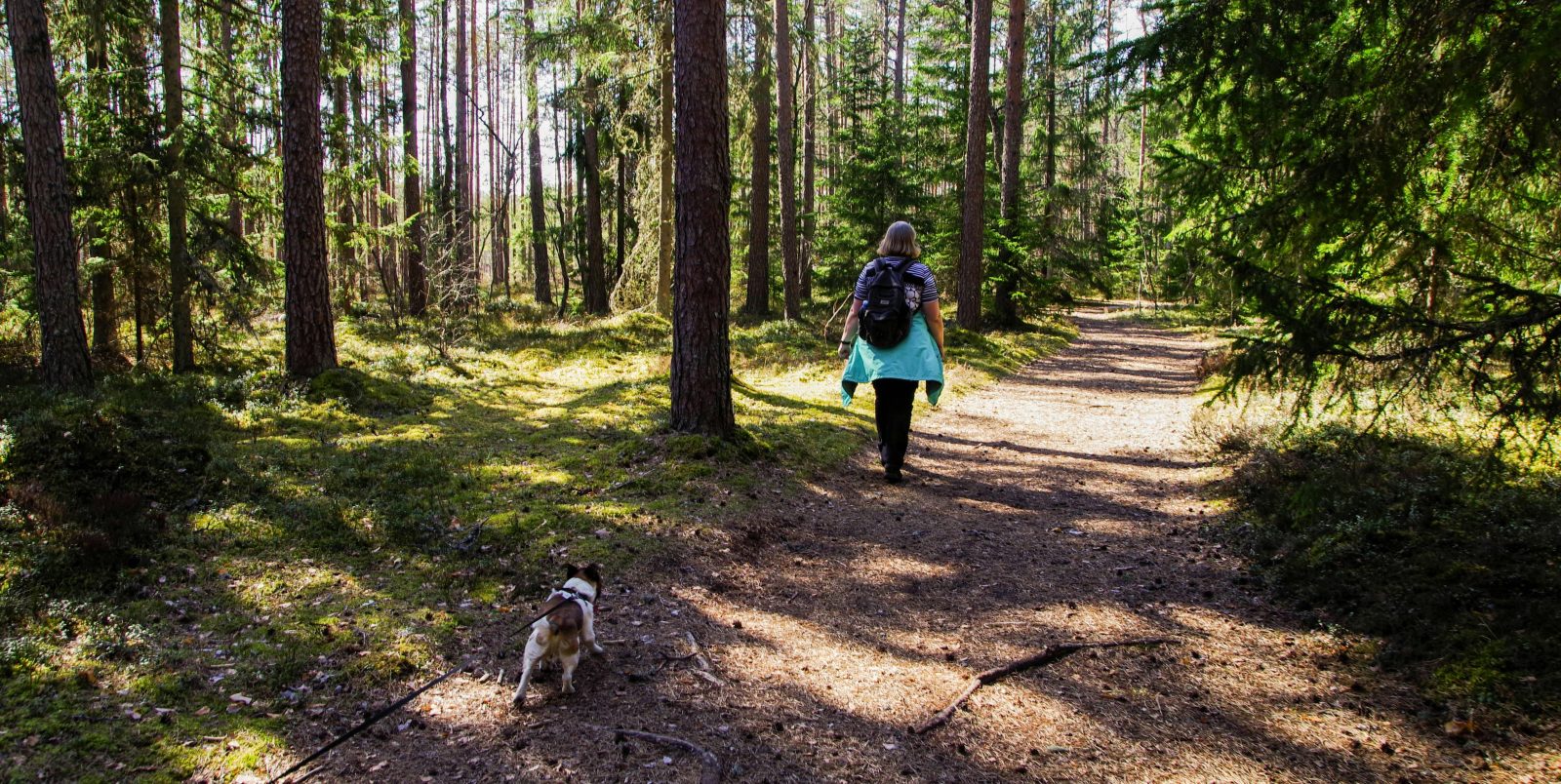 A woman walking alone on a peaceful forest path surrounded by green trees.