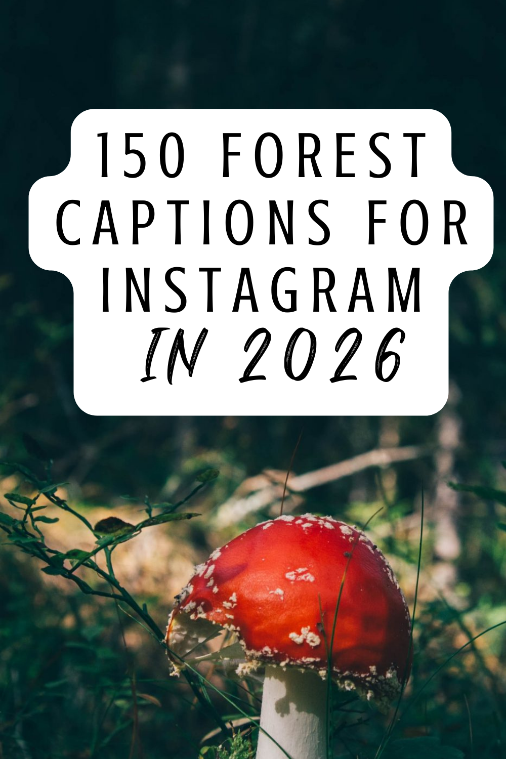 forest captions for instagram