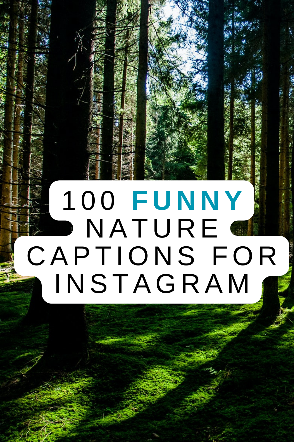 100 funny nature captions for instagram