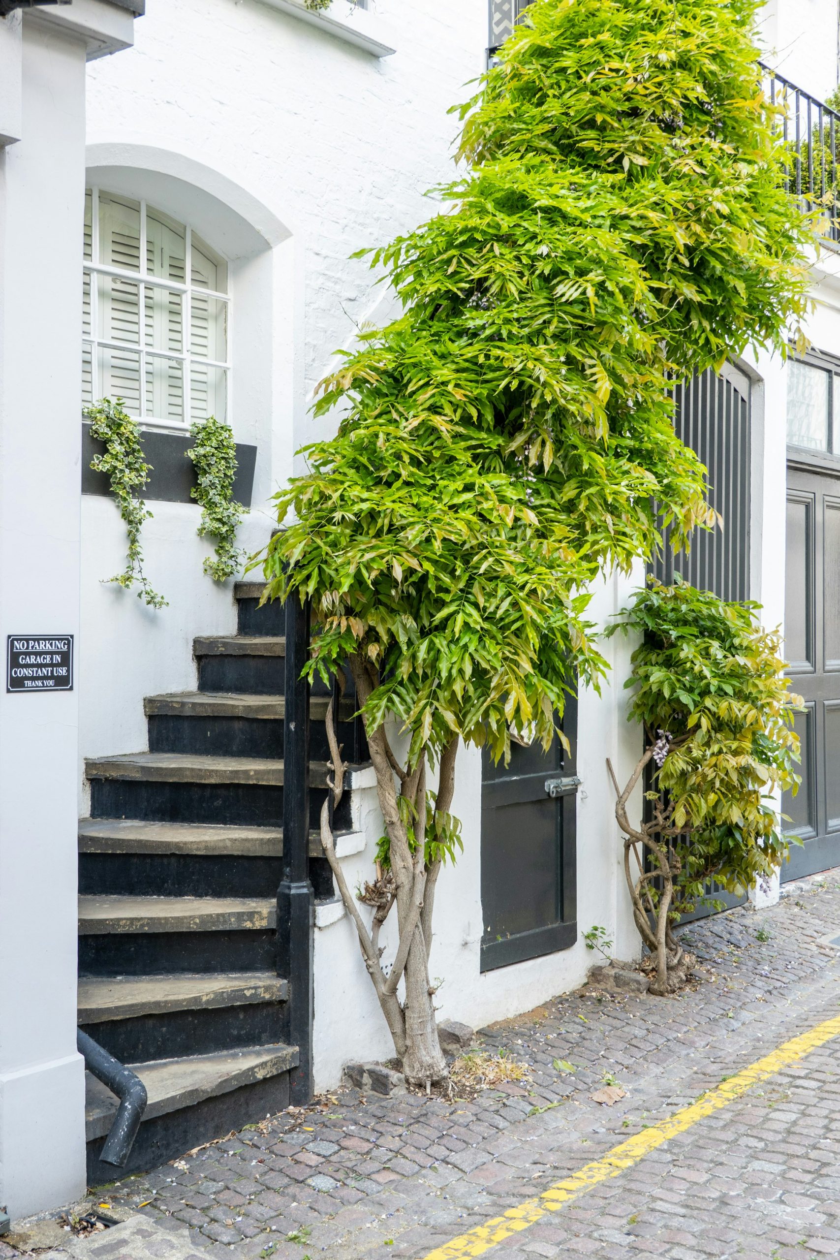 exterior paint trends