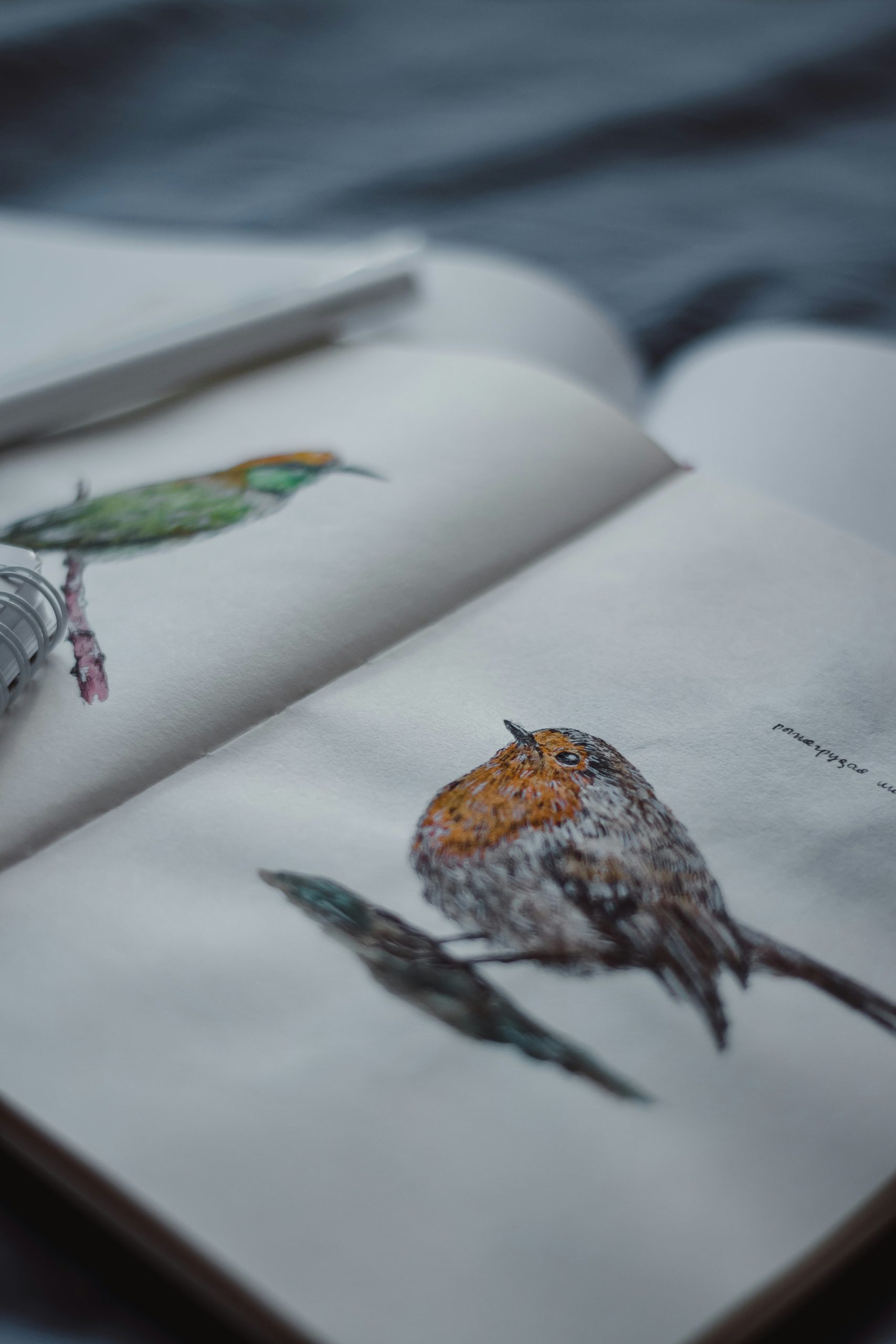 Bird Themed Junk Journal Prompts