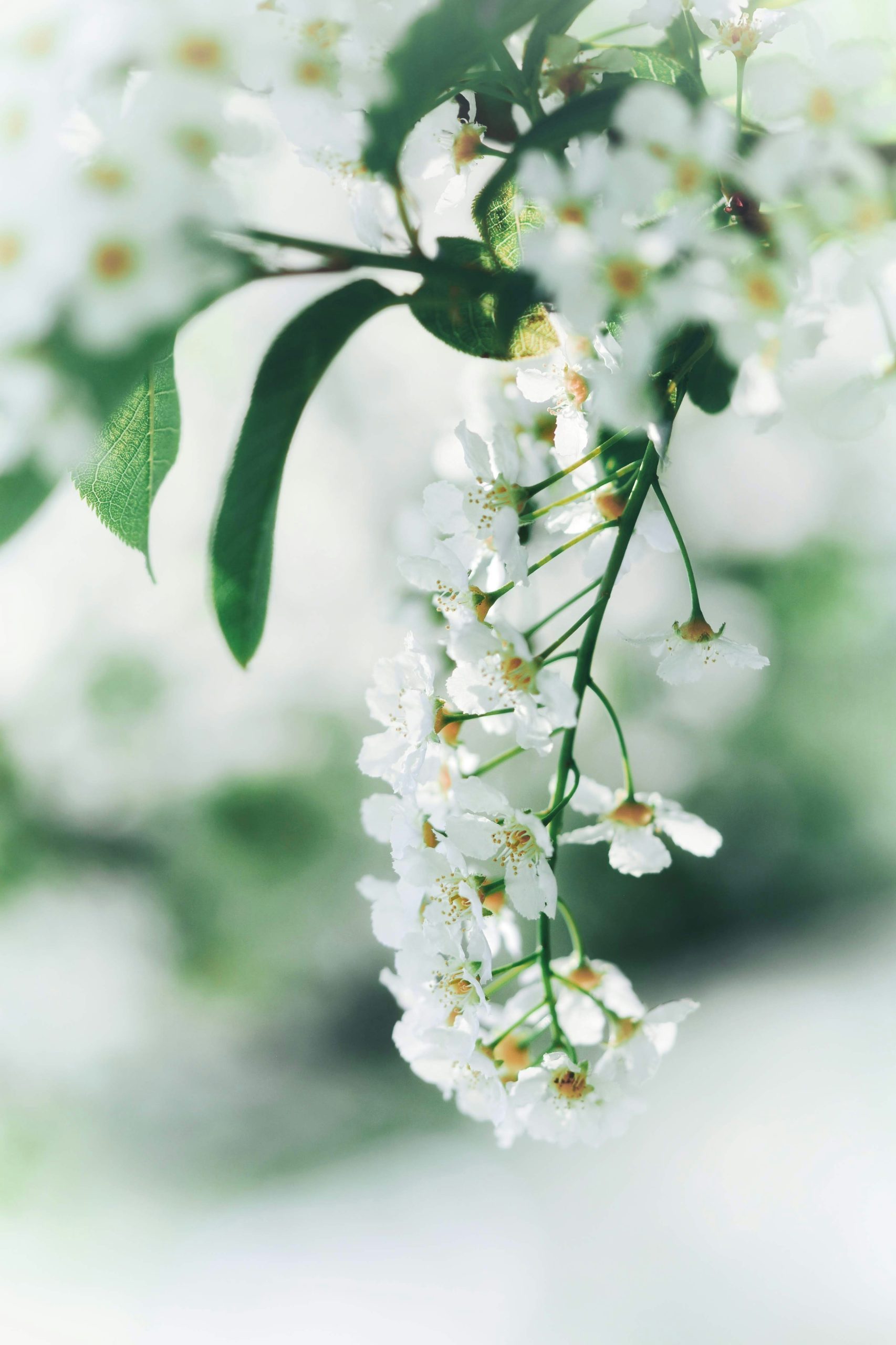  Bucket List Ideas for May