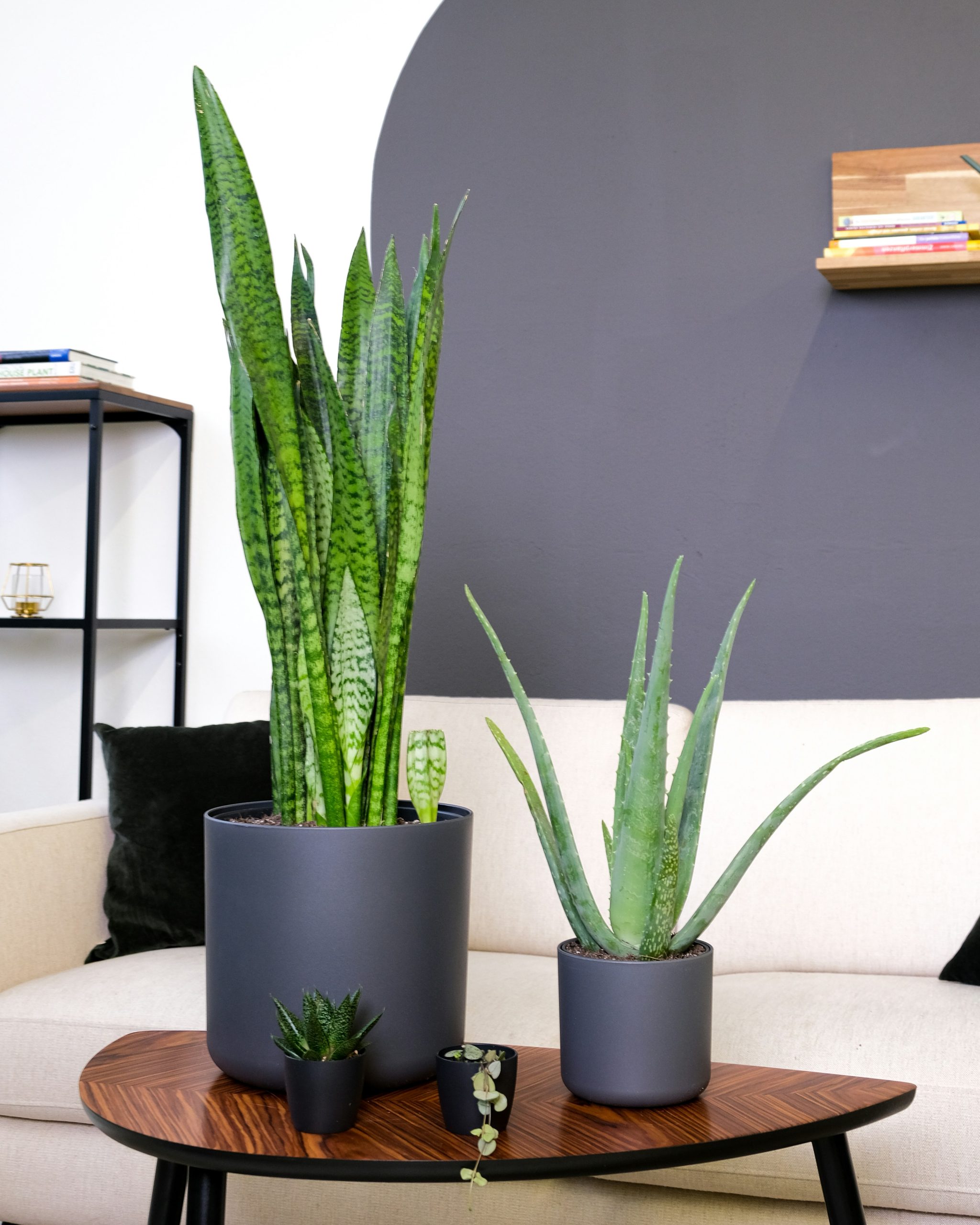 Bloomcore