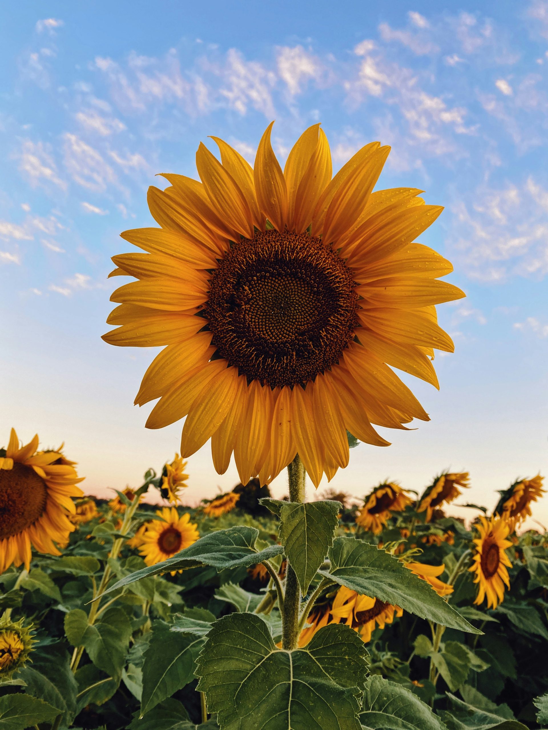 31 August Bucket List Ideas