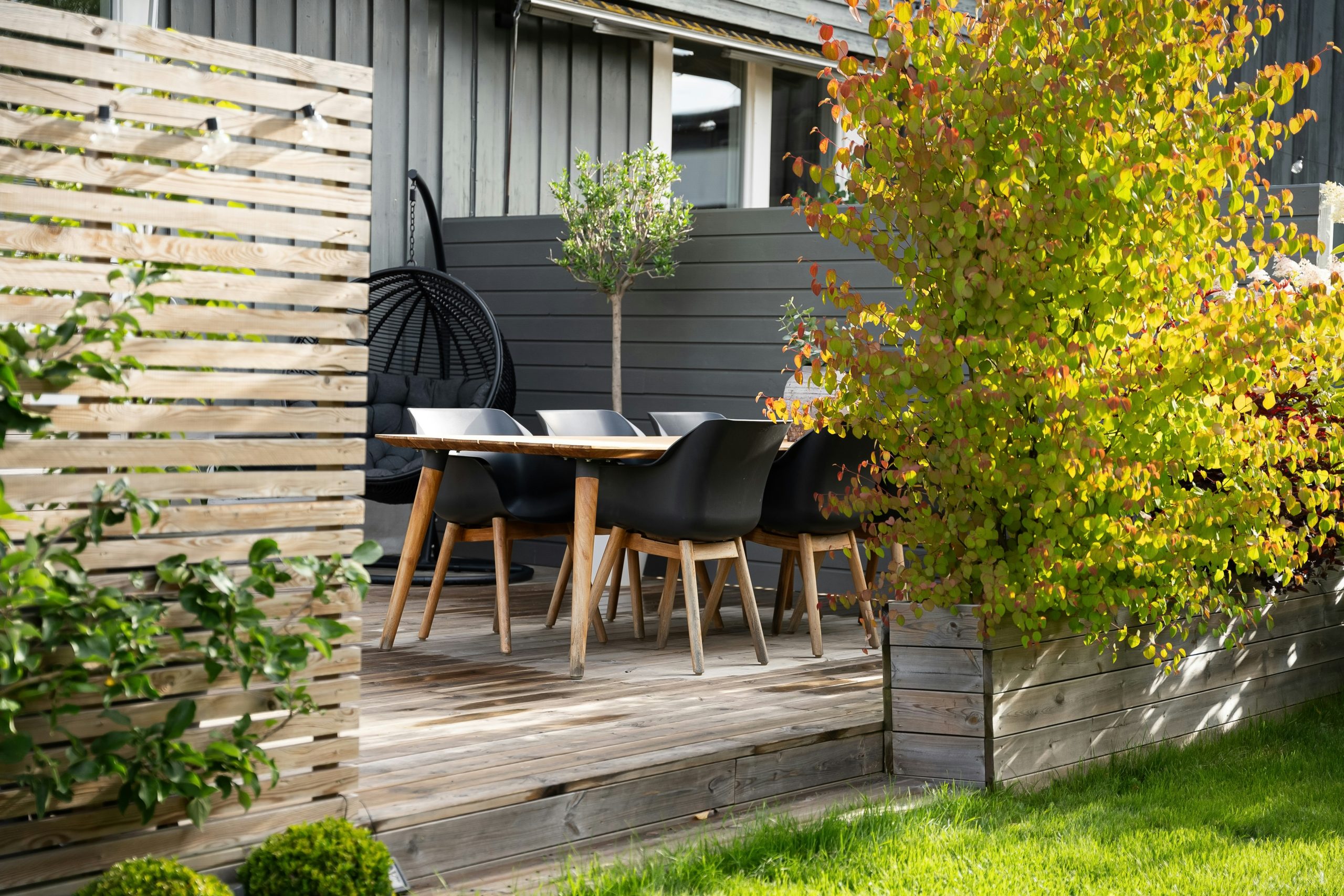 The Ultimate Guide to Maximising Small Garden Spaces