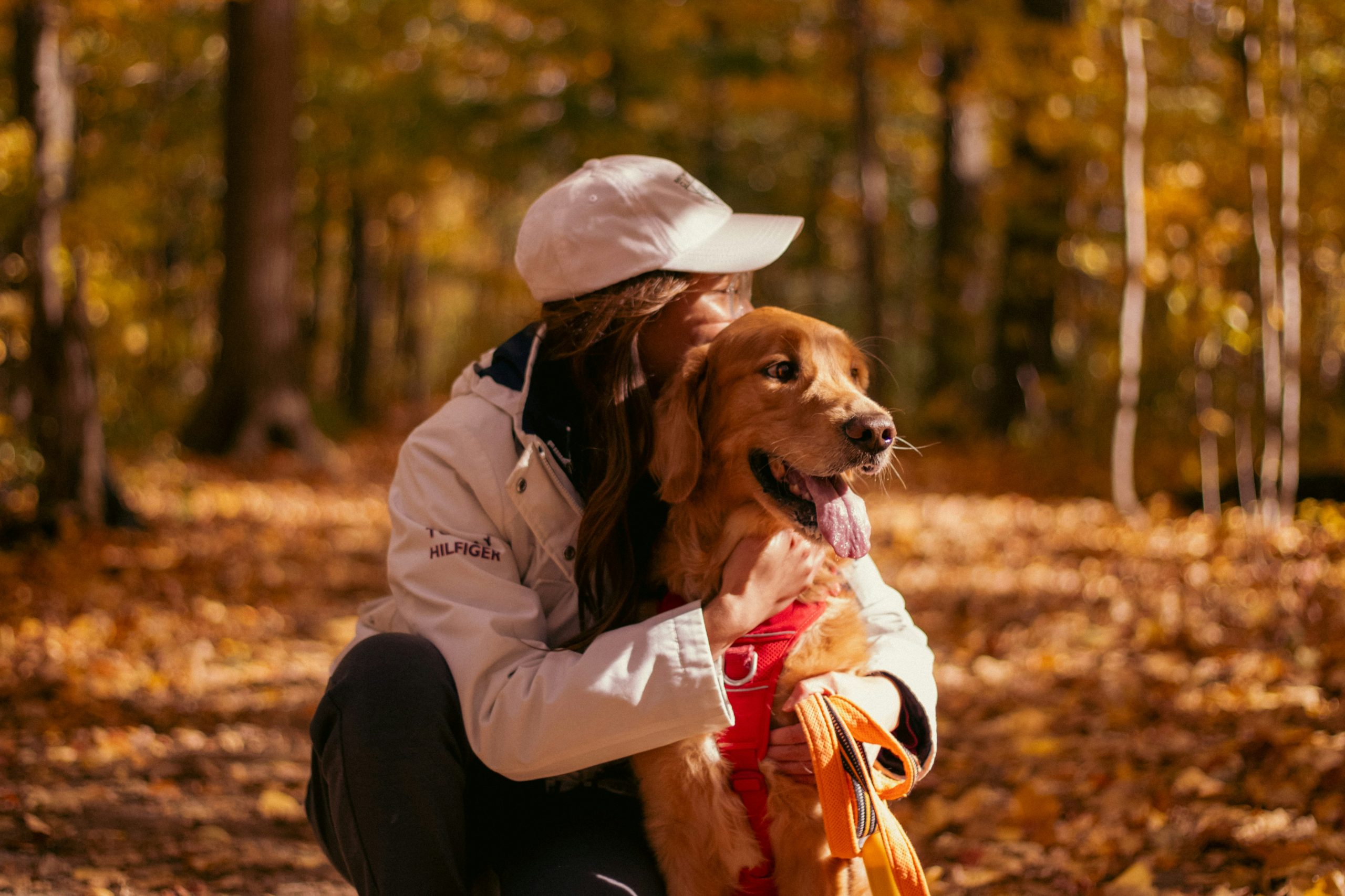 A Guide to Your Pet's Changing Needs Through the Years