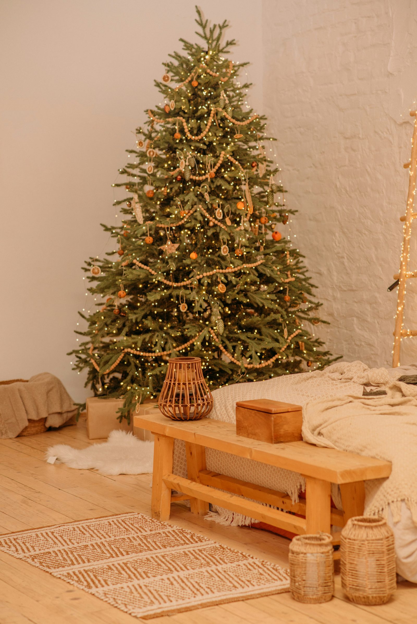 Christmas Trends for 2026
